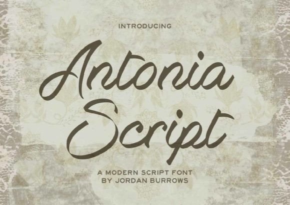 Antonia Script: A Touch of Elegance in Typography
