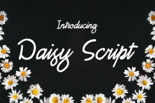 Daisy Script: A Feminine Touch in Typography